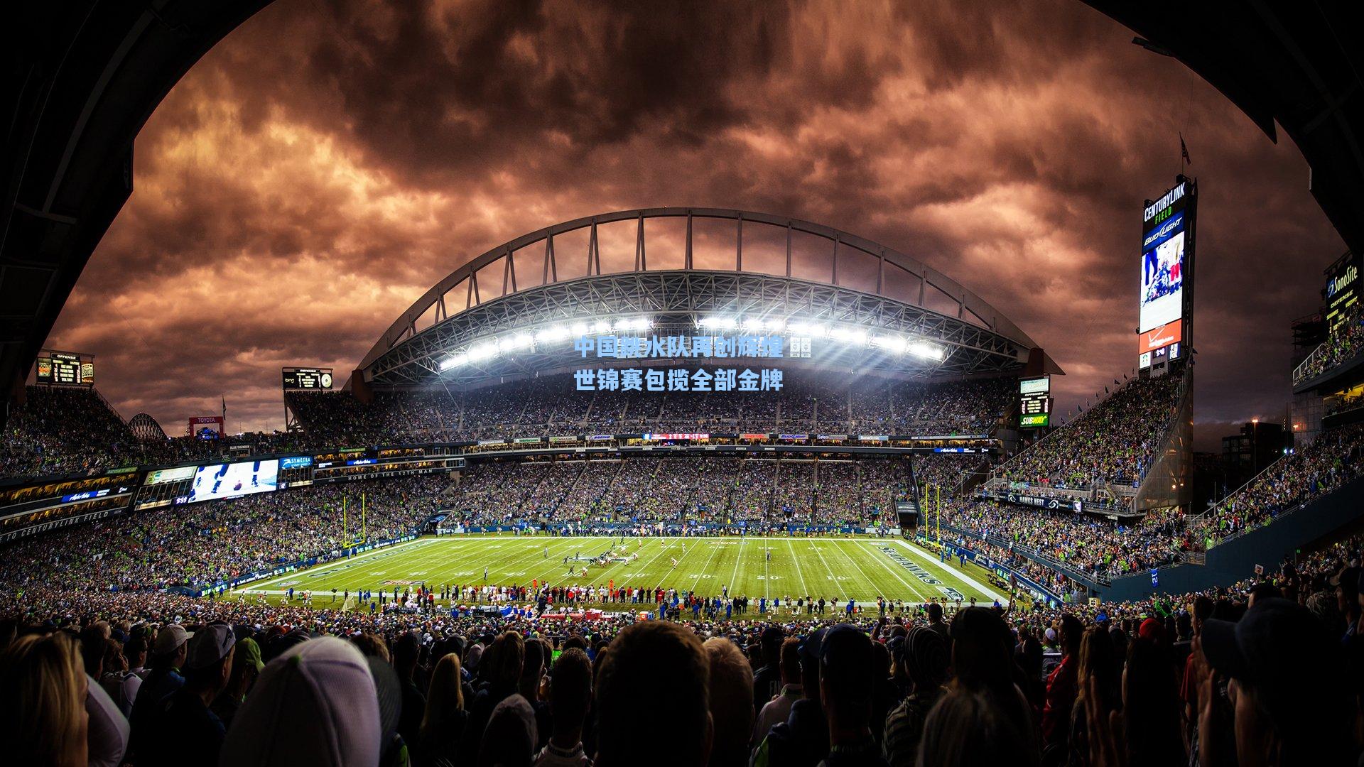 中国跳水队再创辉煌 世锦赛包揽全部金牌