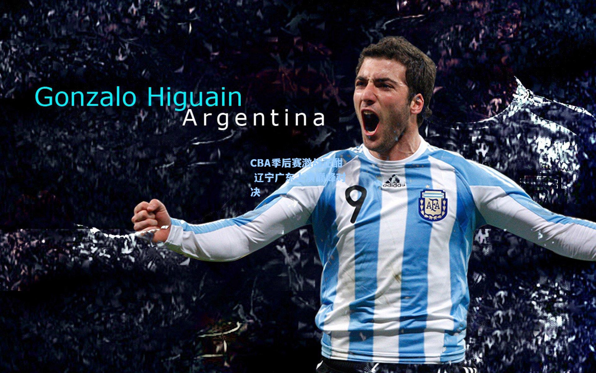 CBA季后赛激战正酣 辽宁广东上演巅峰对决